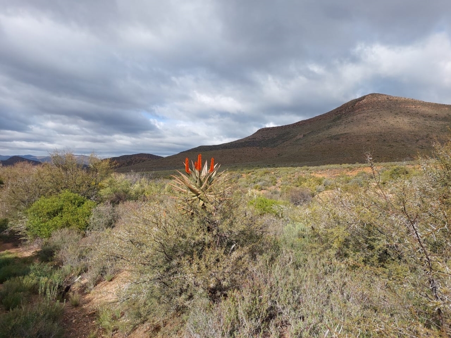 7 Bedroom Property for Sale in Ladismith Rural Western Cape